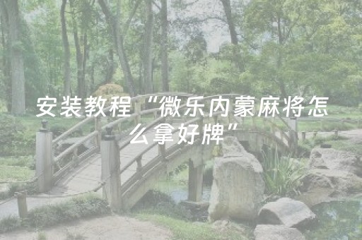 实测辅助“财神十三水万能辅助器”（详细透视教程）-哔哩哔哩