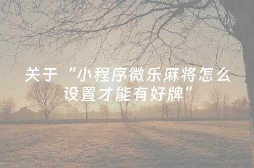 教程辅助“情怀麻将辅牌器购买（助赢神器通用版）