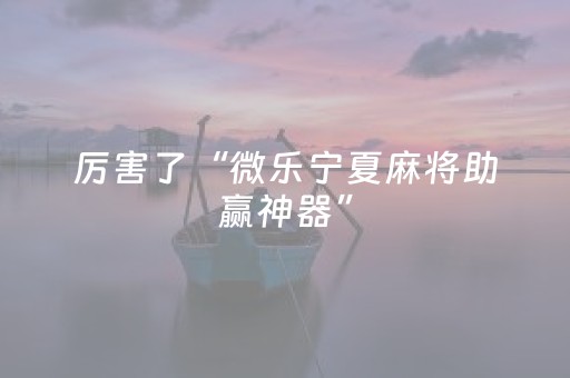 实测辅助“胡乐麻将胡牌神器（助赢神器通用版）