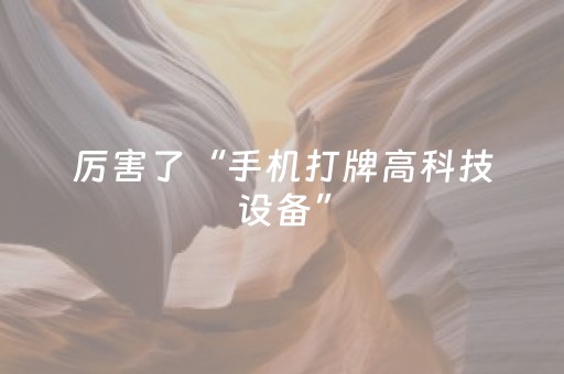 玩家实测“雀神微信小程序免费辅助器下载（专用辅牌神器免安装）