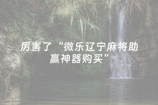 必看教程“微乐家乡麻将助赢神器（专用辅牌神器免安装）