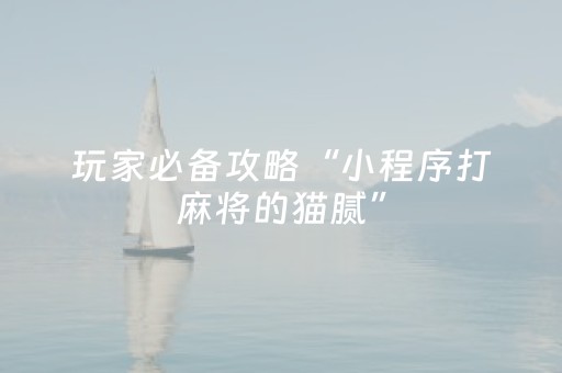 实测教程“微乐河南推倒糊麻将助赢神器购买（助赢神器通用版）