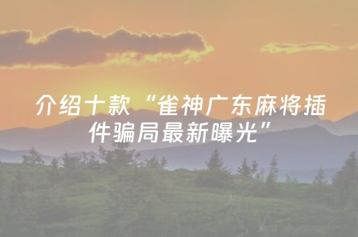 实测辅助“微乐河南跑得快专用神器（专用辅牌神器免安装）