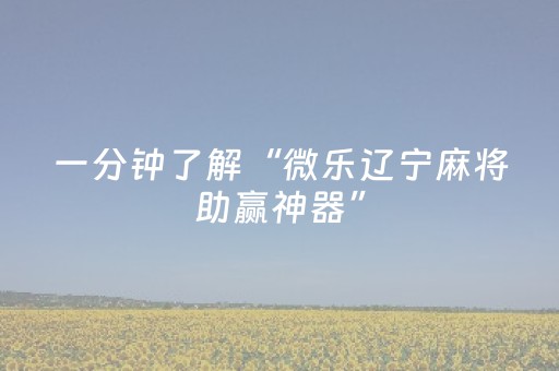 终于发现“微信麻将胡牌神器安装（专用辅牌神器免安装）