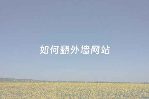 如何翻外墙网站（如何翻外墙网站YouTube）