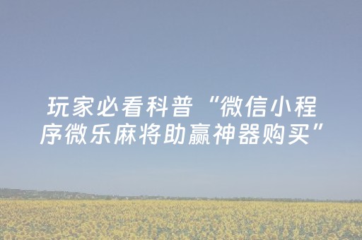 我来教大家“陕麻圈辅助软件（专用辅牌神器免安装）