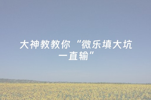 终于发现了“微乐麻将小程序胡牌神器（助赢神器通用版）