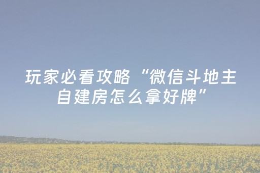 实测教程“微乐麻将神器680元（助赢神器通用版）