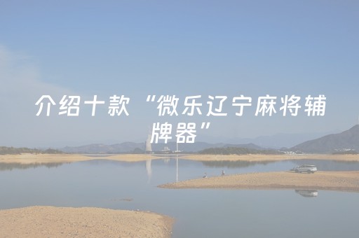 玩家必备教程“雀神麻将助赢神器购买（专用辅牌神器免安装）
