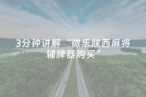 我来教大家“中至小程序辅助器（专用辅牌神器免安装）