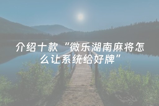 玩家必看教程！“微乐甘肃麻将助赢神器购买”（详细辅助教程）-哔哩哔哩