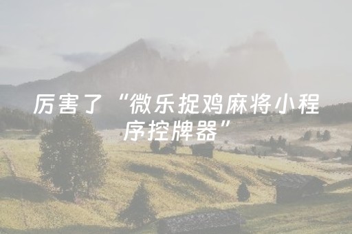 实测教程“微乐麻将铺牌器2025（专用辅牌神器免安装）