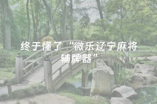 必看教程“麻将机装程序怎么查出来（助赢神器通用版）