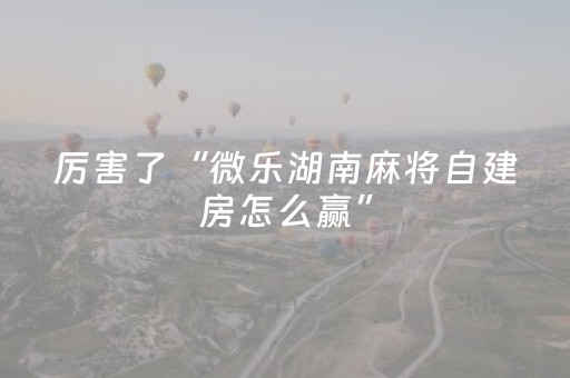 玩家必看攻略“免安装麻将机控牌器手机专用（专用辅牌神器免安装）