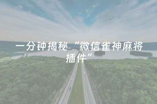 教程辅助“麻将机胡牌神器不用安装的”（详细透视教程）-哔哩哔哩