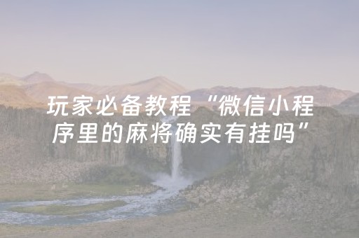 胜率设置方法“微乐江苏麻将专用神器”（详细透视教程）-哔哩哔哩