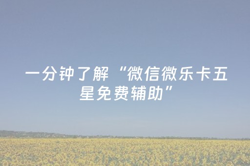 实测结果“决战十三水ios版辅助器（专用辅牌神器免安装）