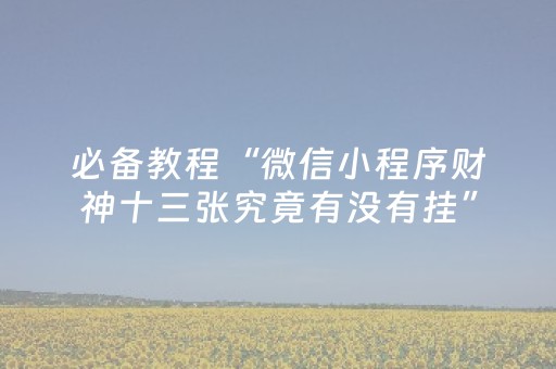 3分钟学会“吉祥填大坑辅助器免费下载（专用辅牌神器免安装）