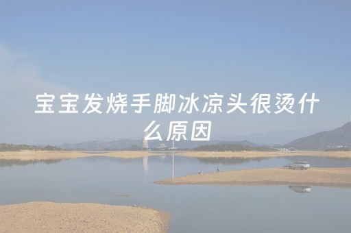 宝宝发烧手脚冰凉头很烫什么原因（宝宝发烧手脚冰凉头很烫怎么回事怎么处理）