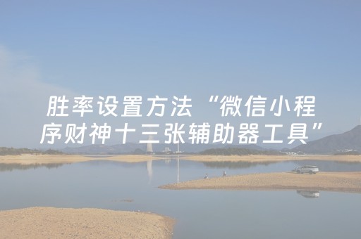 终于发现了“微信小程序雀神辅助器苹果版（专用辅牌神器免安装）