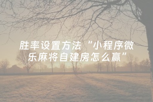 我来教大家“新-代麻将机控牌神器（专用辅牌神器免安装）