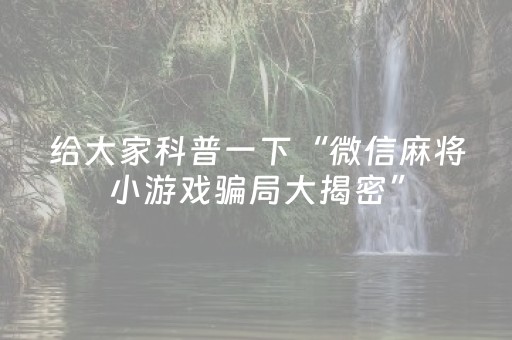 终于发现“功夫麻将软挂神器（专用辅牌神器免安装）