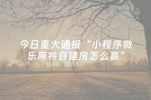 胜率设置方法“吉祥麻将填大坑插件（专用辅牌神器免安装）