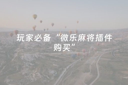 玩家必看攻略“财神十三水万能辅助器（专用辅牌神器免安装）