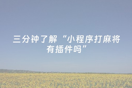 教程辅助“小程序麻将铺牌器购买（专用辅牌神器免安装）