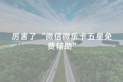 3分钟学会“微乐捉鸡麻将技巧打法（专用辅牌神器免安装）