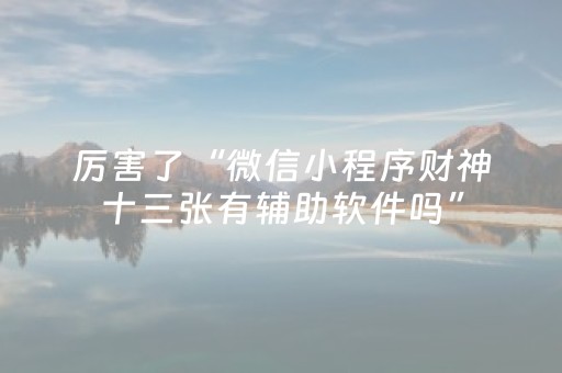 实测分享“手机十三张辅助器”（详细开挂教程）-哔哩哔哩