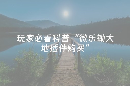 新版本“微信埋雷软件0-9免费”（详细透视教程）-哔哩哔哩