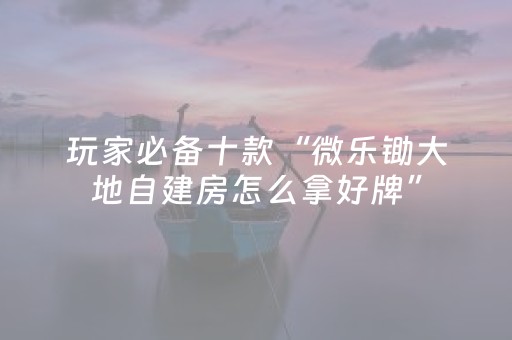 必看教程“吉祥填大坑必赢技巧（专用辅牌神器免安装）