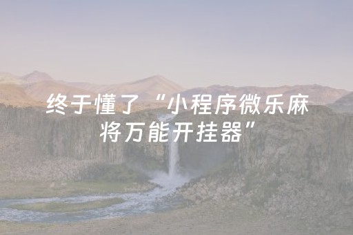 实测教程“功夫麻将插件（专用辅牌神器免安装）