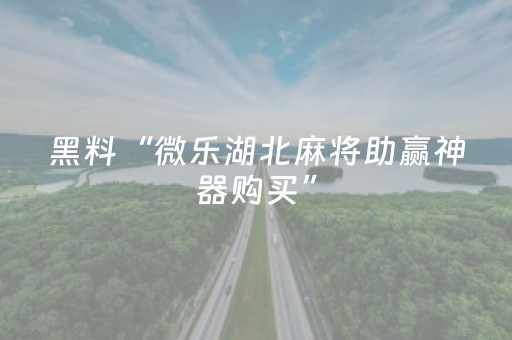 实测教程“微乐内蒙麻将助赢神器”（详细透视教程）-哔哩哔哩