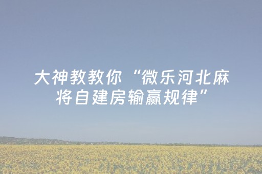 分享辅助“下载微信抢红包尾数控制器”（详细透视教程）-哔哩哔哩