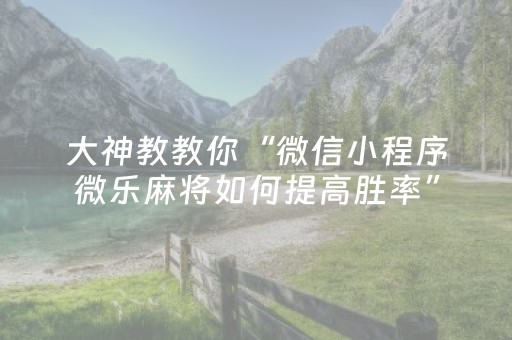 终于发现“微乐麻将胡牌神器（助赢神器通用版）