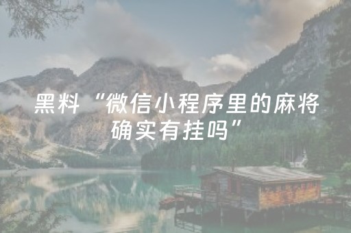 玩家必看攻略“微乐江西麻将输赢的技巧（专用辅牌神器免安装）