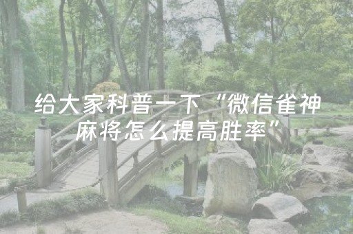 玩家必备教程“手机打麻将能赢的设备（助赢神器通用版）