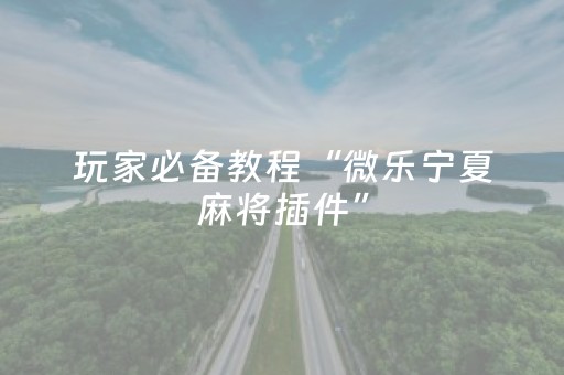 玩家必备教程“微信斗牛黑科技（专用辅牌神器免安装）