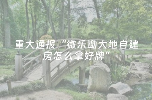 终于发现“哈灵麻将胡牌神器（专用辅牌神器免安装）