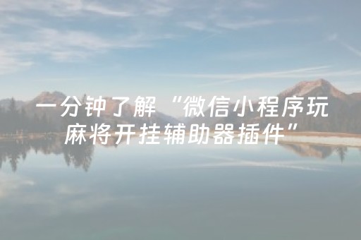 3分钟学会“微信小程序雀神辅助器安装包（专用辅牌神器免安装）