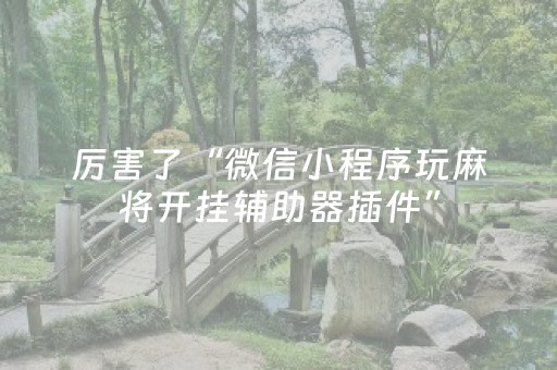 实测结果“胡乐麻将软挂神器（专用辅牌神器免安装）