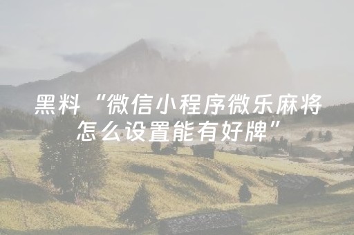 终于发现了“可调输赢麻将机（专用辅牌神器免安装）