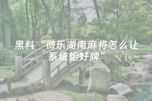 实测分享“微信麻将机手机控牌器（助赢神器通用版）