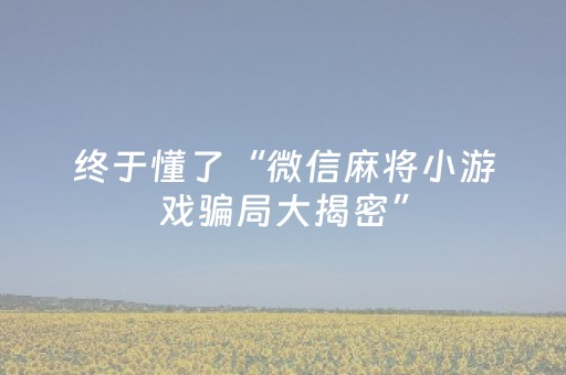 必看教程“手机麻将免安装控牌器最新版（助赢神器通用版）