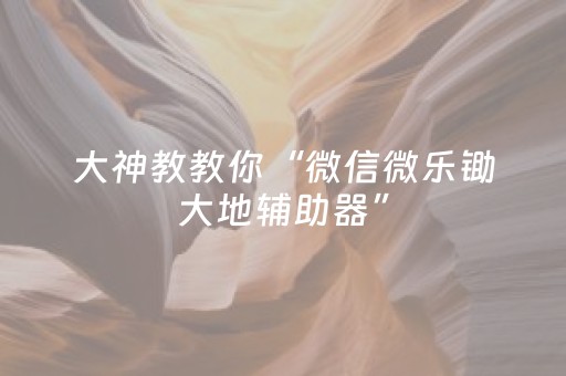终于发现了“微信金花小程序辅助器（助赢神器通用版）
