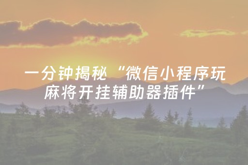 玩家必备教程“手机十三水万能辅助器（专用辅牌神器免安装）