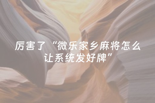 教程辅助“麻友圈安全版辅助软件（助赢神器通用版）