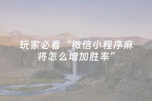 玩家必备教程“微乐陕西麻将控牌器（专用辅牌神器免安装）